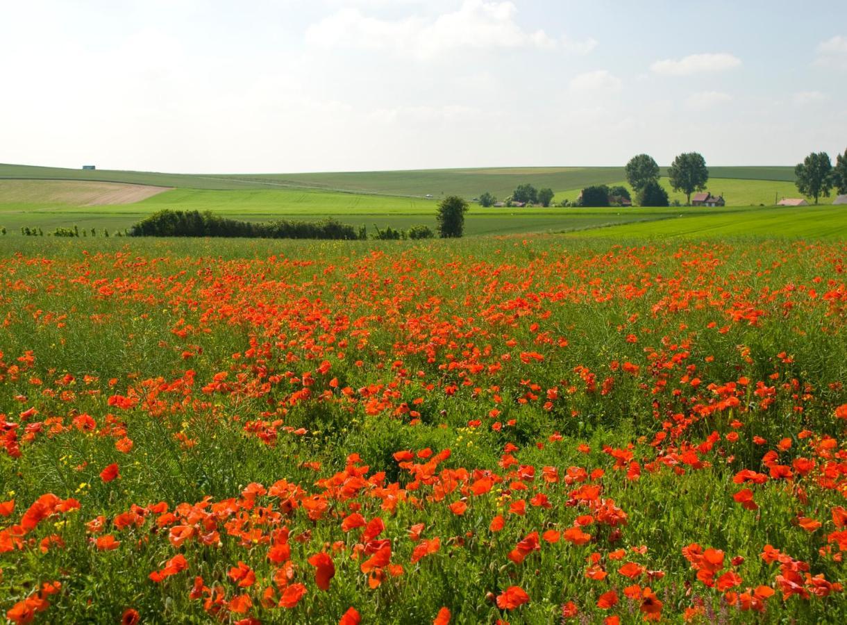 The Silent Picket Bed & Breakfast Martinpuich Екстериор снимка